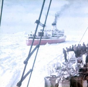 Seal_Hunt_2